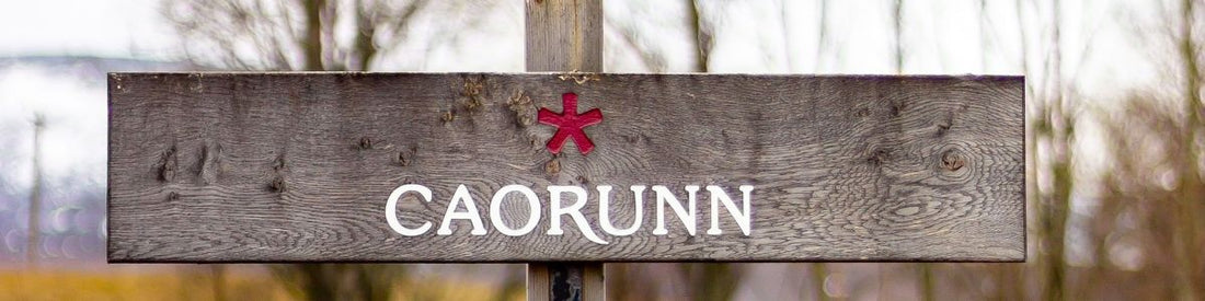 Gin Of The Week - Caorunn Gin