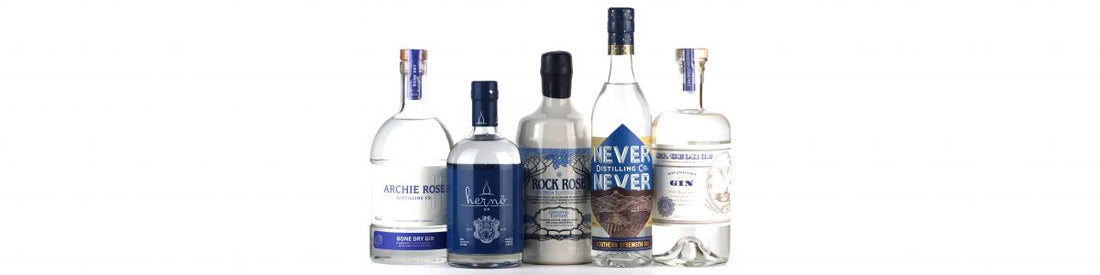 The 5 Best Gins You’ve Never Heard Of